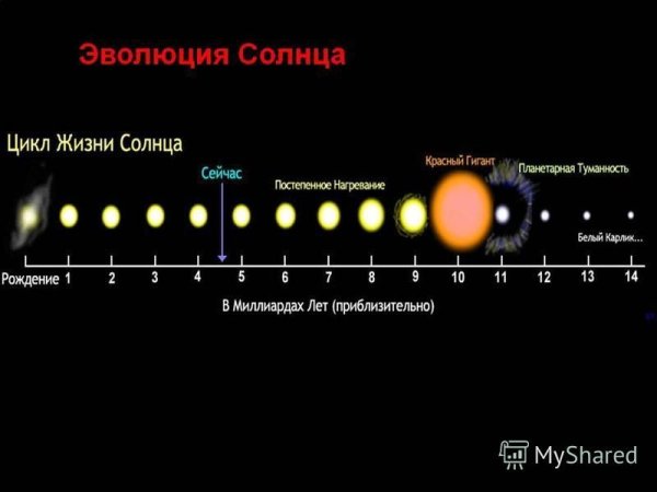 Хромосфера внешняя оболочка