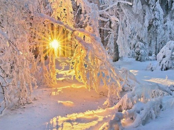 Солнечный зимний день