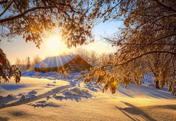 Морозный Солнечный день