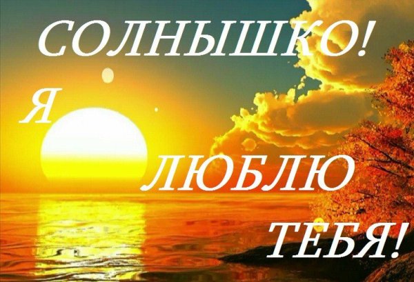 Обожаю тебя солнышко
