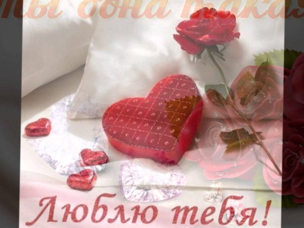 Спокойной ночи солнышко