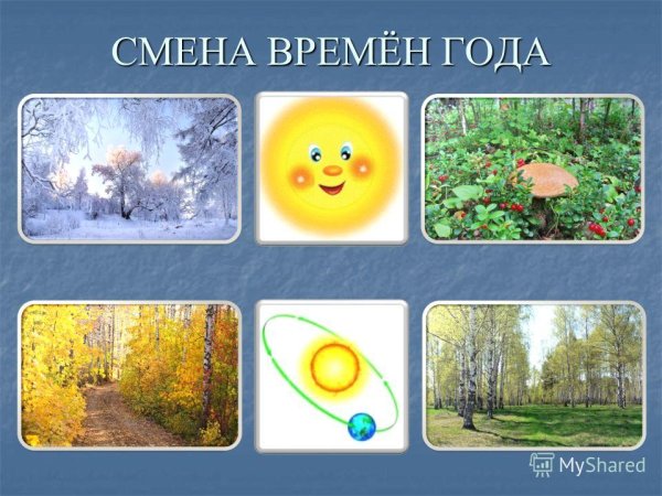 Солнце в разные времена года