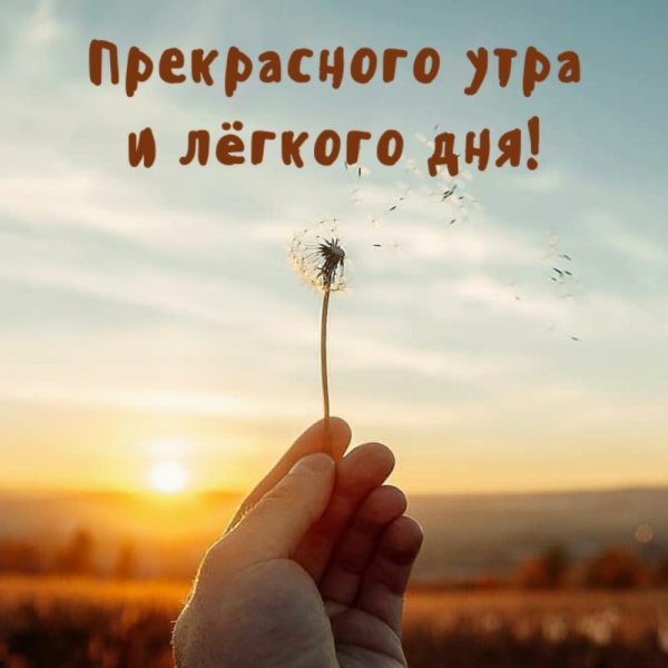 Хорошего легкого дня
