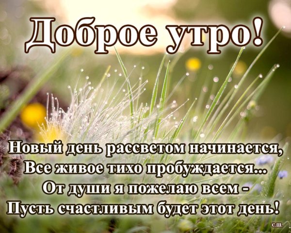Радости в новом дне с добрым утром