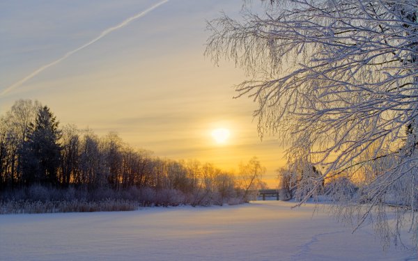 Февральский пейзаж