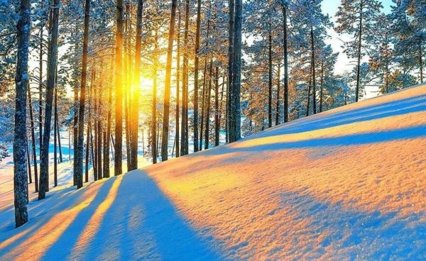 Яркое солнце зимой