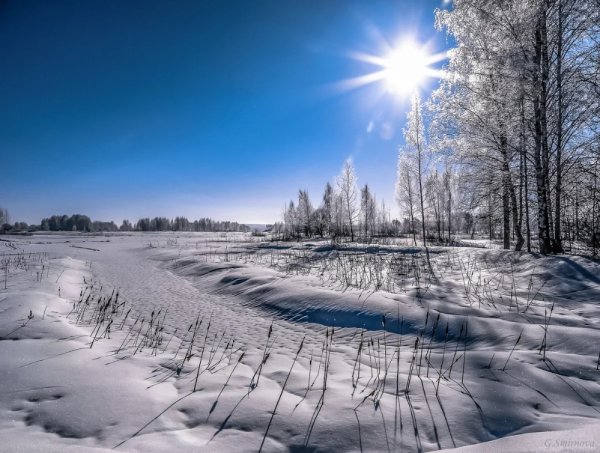 Зима солнце дорога