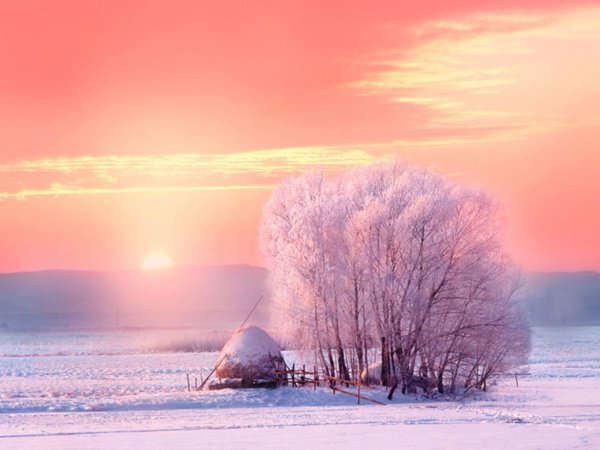 Утренняя Заря зимой