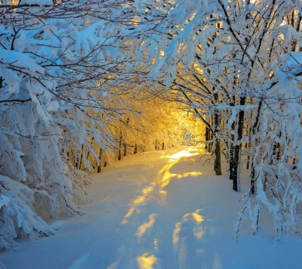 Морозное солнечное утро