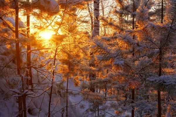 Зимнее солнце в городе