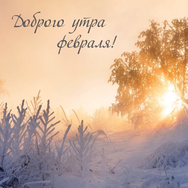 Зимний Солнечный пейзаж