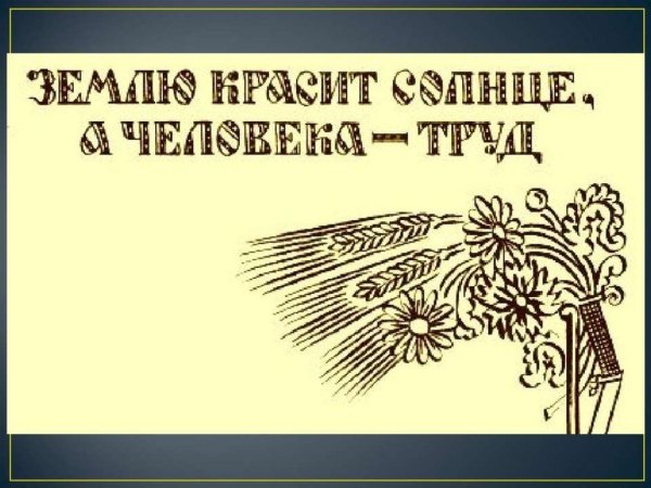 Птицу узнают в полёте, человека — в работе иллюстрация