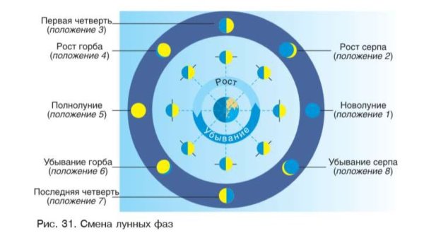 Движение и фазы Луны