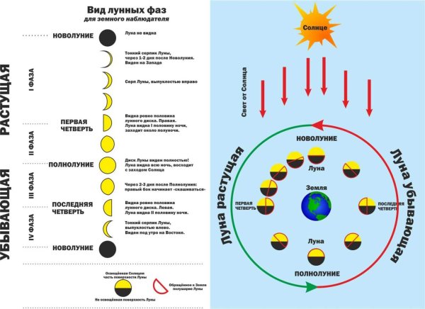 Схема фаз лунного цикла