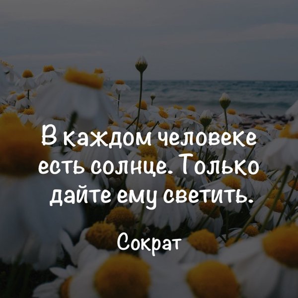 Солнце на ладони