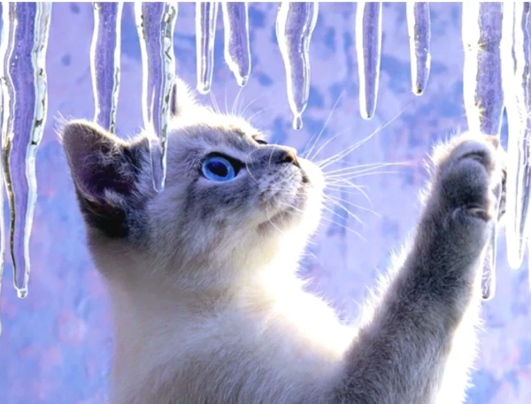 Доброе Холодное зимнее утро