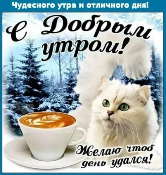 С добрым зимним утром