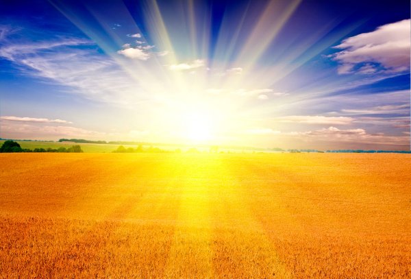 Красивое солнце