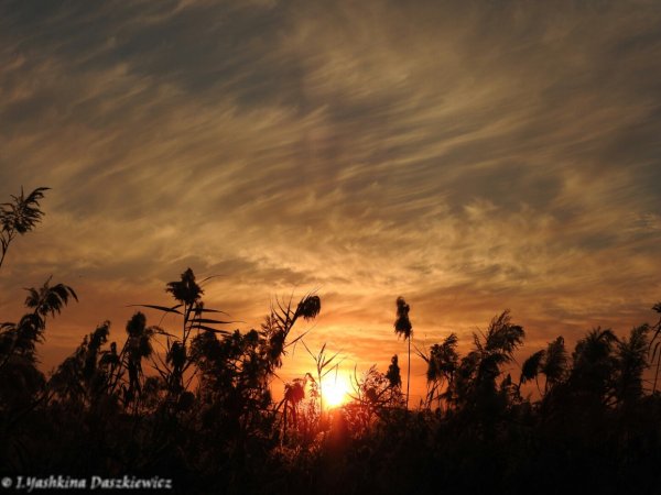 Восход солнца рисунок