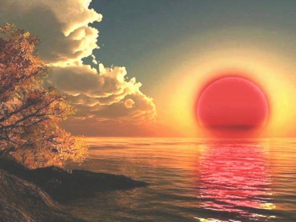 Закат в лесу