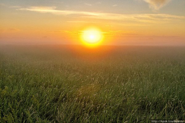 Утреннее солнце