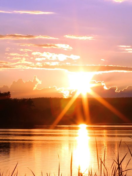 Лучи солнца