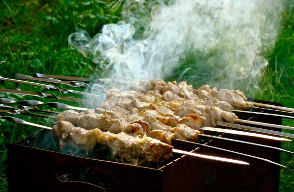 Шашлык на природе фон