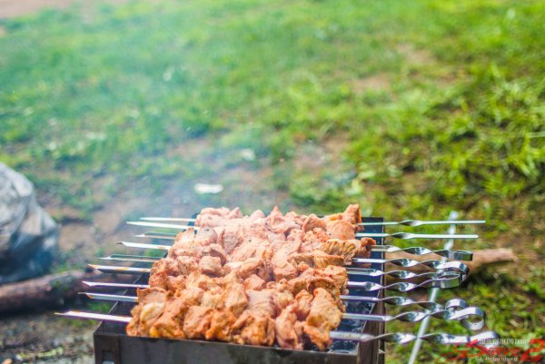 Шашлыки на финском заливе