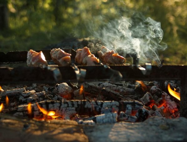 Шашлыки на природе