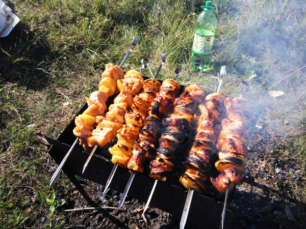 Осенний шашлык на природе