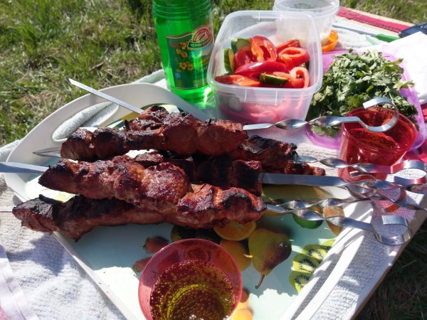 Жареный шашлык в деревне на природе