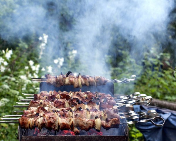 Шашлык на мангале
