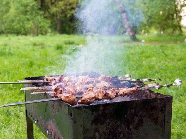 Шашлыки на природе