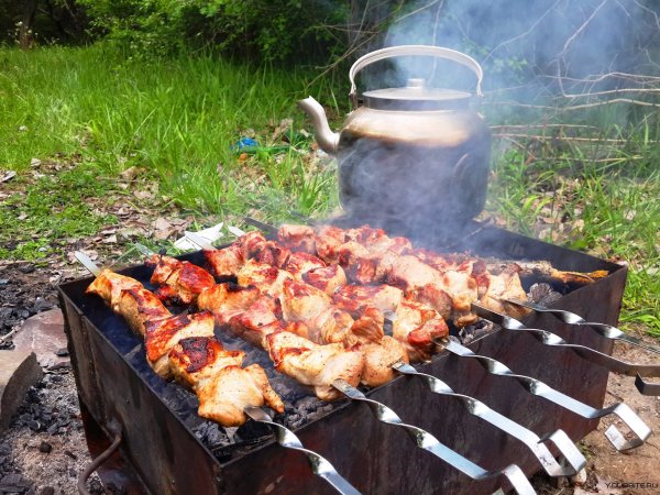 Шашлыки на даче