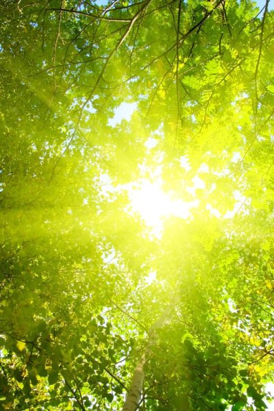 Солнце летом