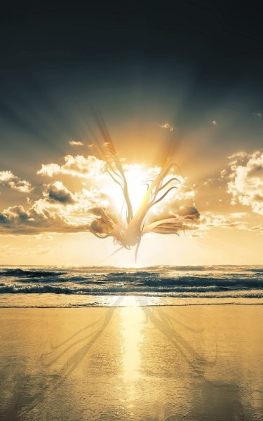 Снимок солнца из космоса