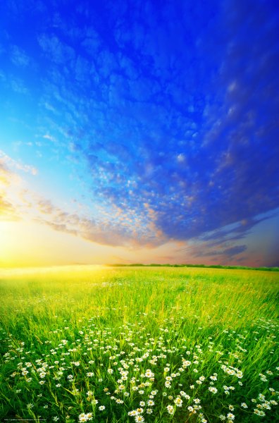 Летние картинки