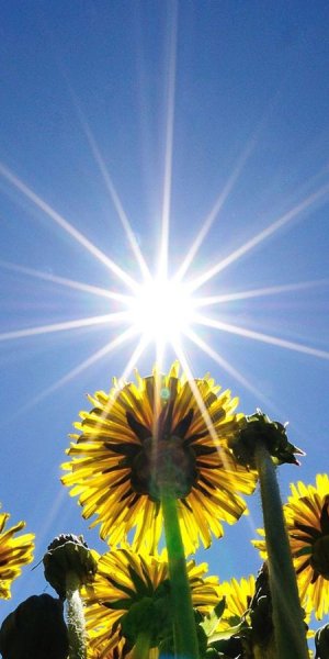 Желтый закат на море