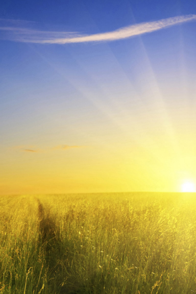 На Восходе солнца