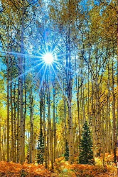 Красивый рассвет