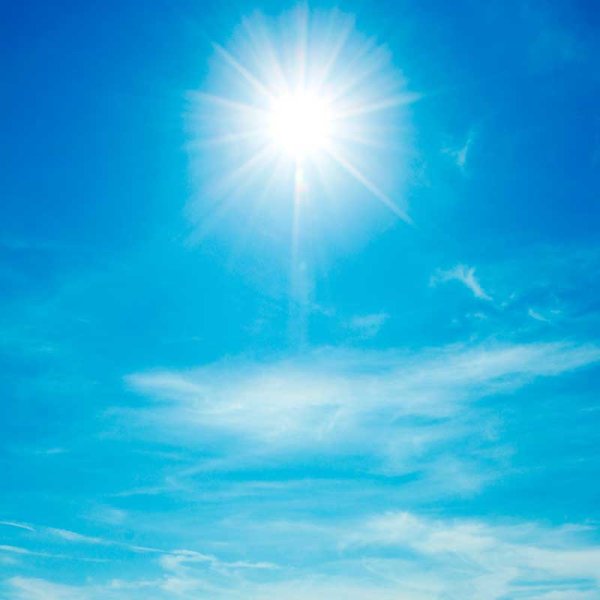 Желтая Пальма