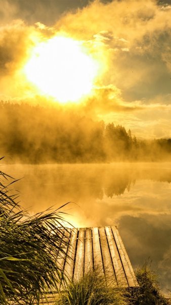 Мостик на закате