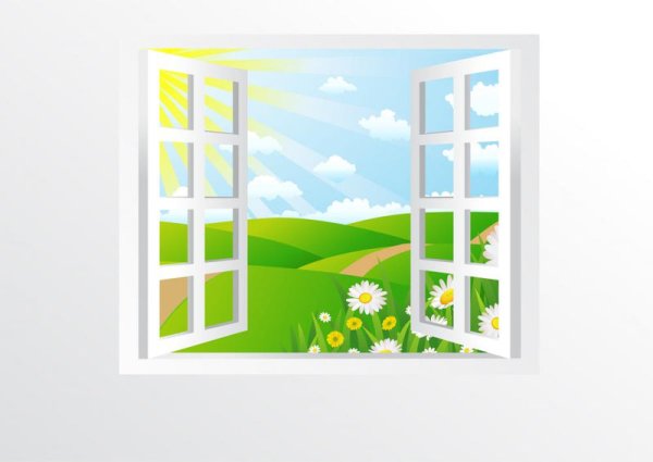 Солнечный вид из окна