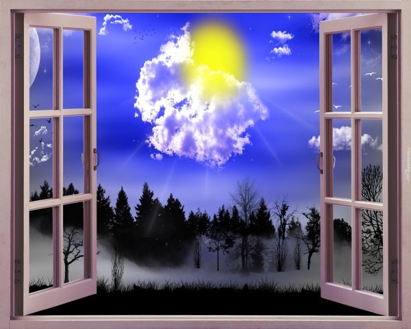 Птичка на открытом окне