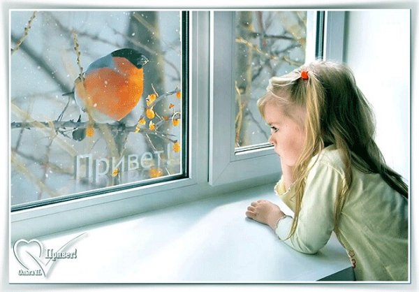 Окно раскраска