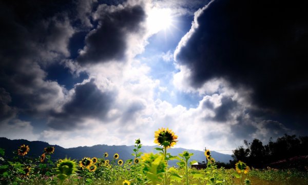 Солнышко за Тучкой