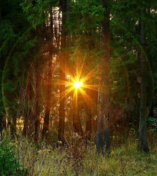 Волшебное солнце