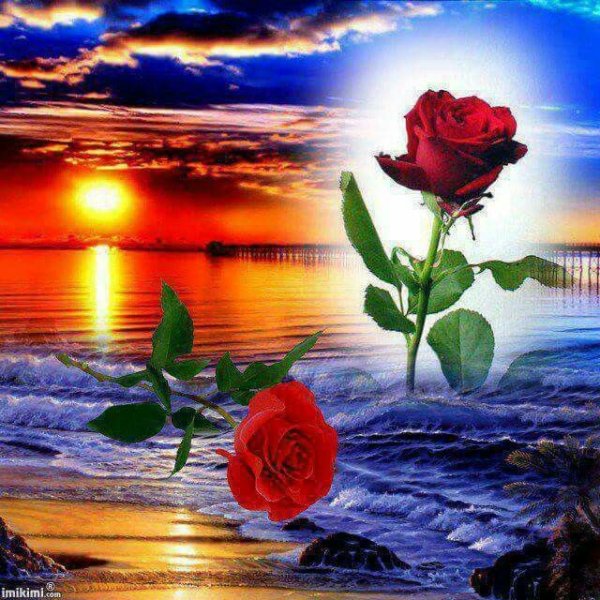 Руки сердце солнце