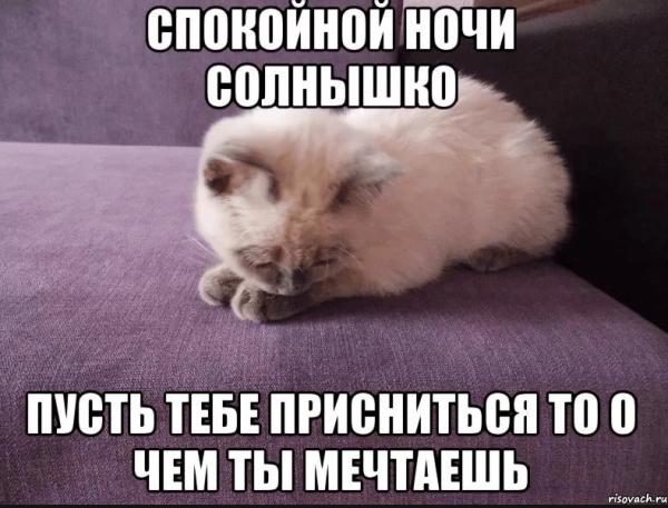 Спокойной ночи солнышко