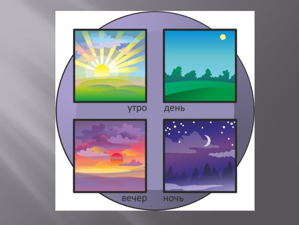 Утро, день, вечер, ночь